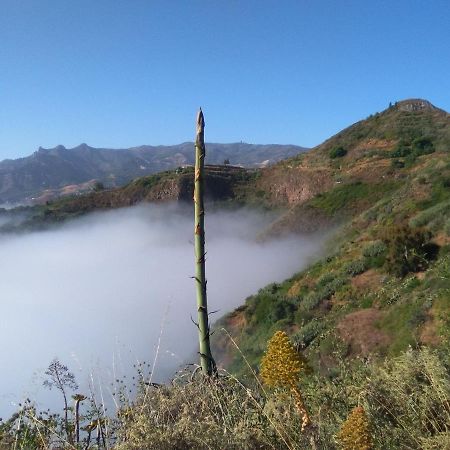 Mar De Flores فيغا دي سان ماتيو المظهر الخارجي الصورة