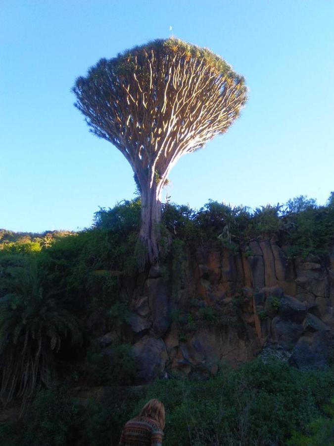 Mar De Flores فيغا دي سان ماتيو المظهر الخارجي الصورة