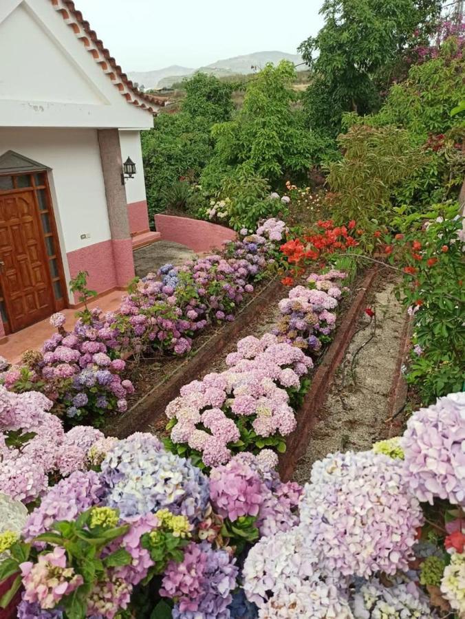 Mar De Flores فيغا دي سان ماتيو المظهر الخارجي الصورة