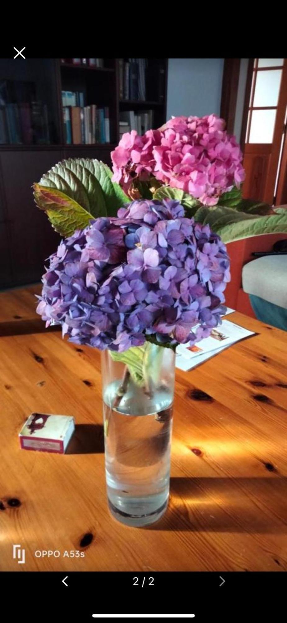Mar De Flores فيغا دي سان ماتيو المظهر الخارجي الصورة